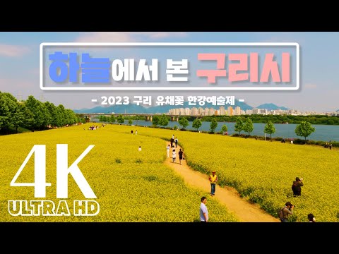 하늘에서 본 구리 유채꽃 한강예술제 - 4K (UHD)