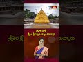 ప్రధాని మోదీ శ్రీశైల క్షేత్రాన్ని సందర్శించనున్నారు #pmmodi #srisailamtemple #darshanam #short