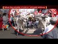 CPI, Jana Sena leaders fall from bullock cart!
