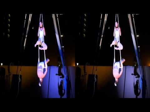 Trapeze Swing Duo at Yerba Buena Night 2015 (YT3D:Enable=True)