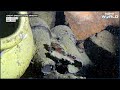 History Of Titanic | First Britannic Ship Artefacts Recovered After Hundred Years  - 01:19 min - News - Video