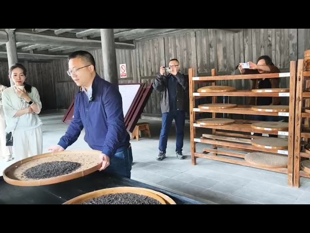 湖南安化第一茶廠提升黑茶品牌價值 茶旅融合發展新動能
