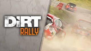 DiRT Rally - PlayStation VR