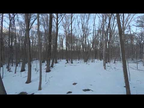 Greenwich/Stamford, CT land auction video Greenwich/Stamford, CT land auction video