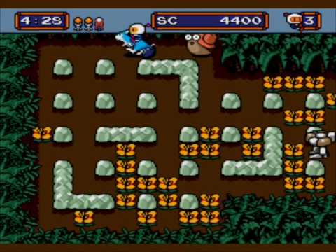 video Mega Bomberman