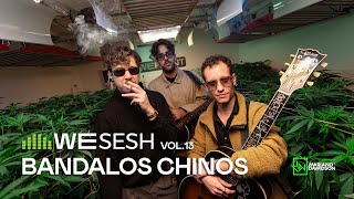 Bandalos Chinos en WESESH #13 | Sesión en vivo entre plantas en WEPLANT 🌿