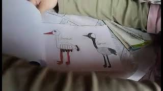 Miniatura video