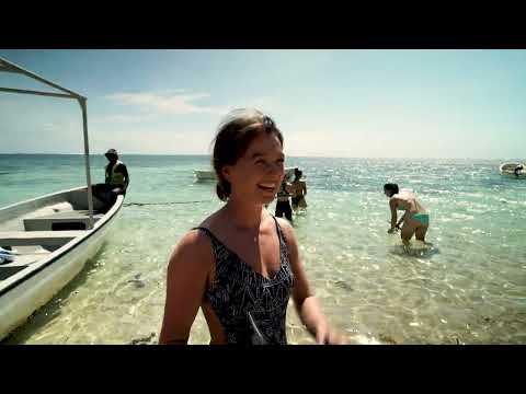 Video struttura