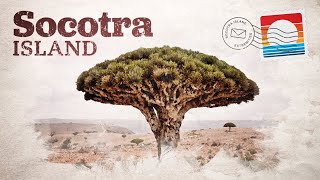 Socotra: What Life is Like on an Island Annexed by the UAE