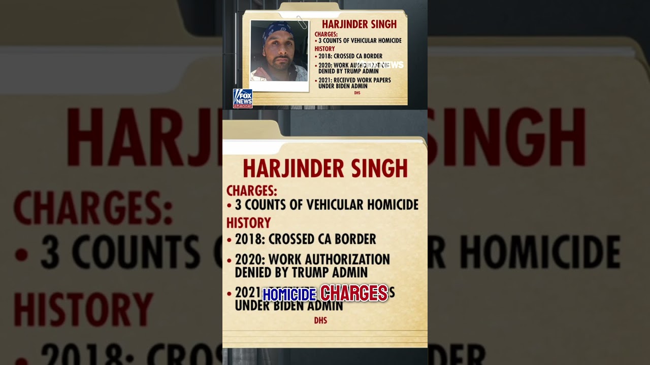 Illegal immigrant truck driver denied bond #shorts