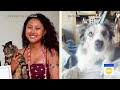 Colleges going pet-friendly - 04:26 min - News - Video