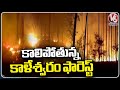 Fire Mishap In Kaleshwaram Forest Area | Jayashankar Bhupalpally | V6 News