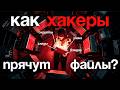       ,     (Windows + Kali Linux)