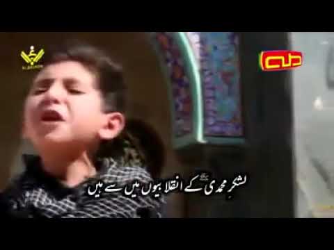 Upload mp3 to YouTube and audio cutter for Wal khat u Hussaini Arabic trana    خط حسین ع کا راہی ہوں Husay'n for All download from Youtube