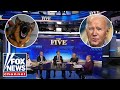 The Five reacts to Biden giving away his dog after 24 bites