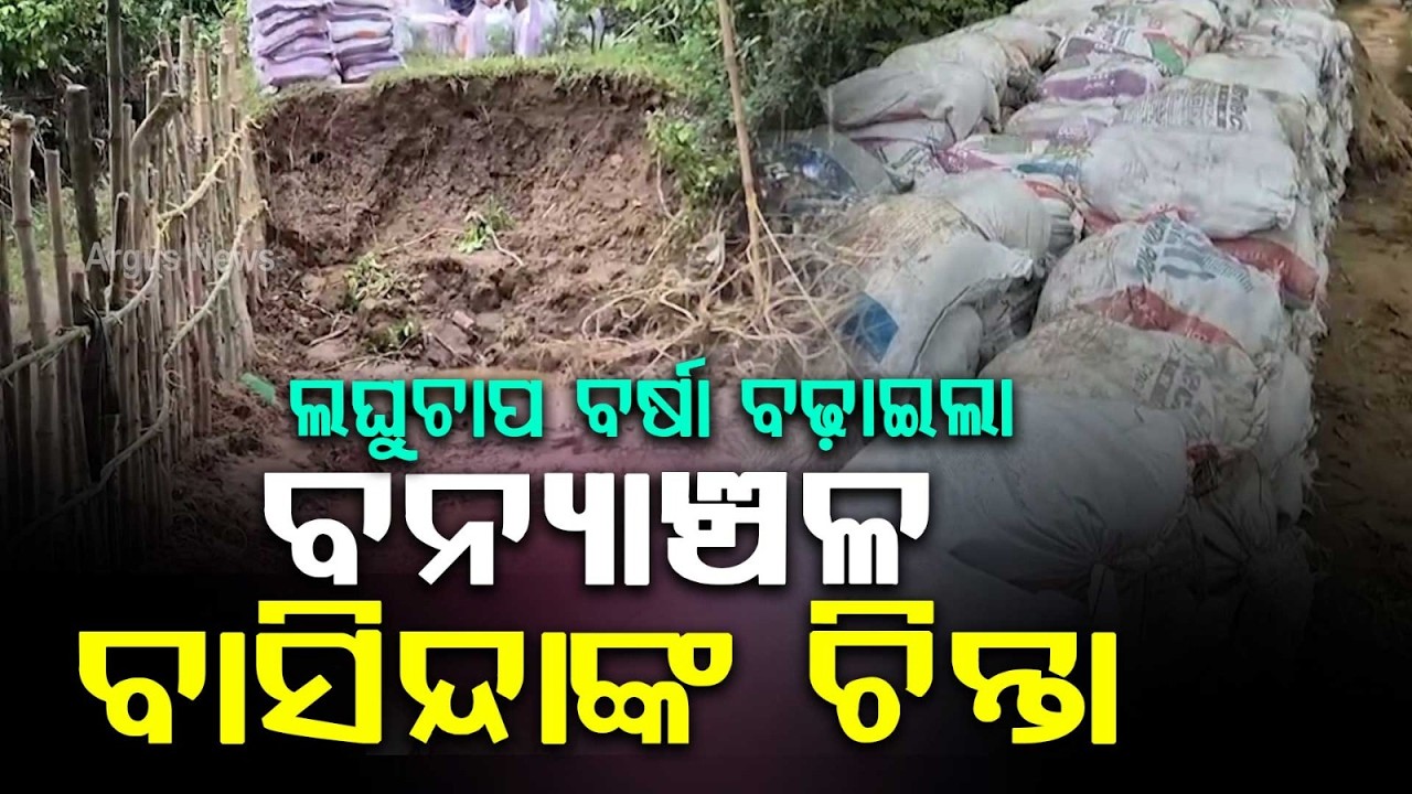 Balasore Flood Update: 6 Breaches In Bishnupur Raise Fear Amid Heavy Rain Warning | Argus News