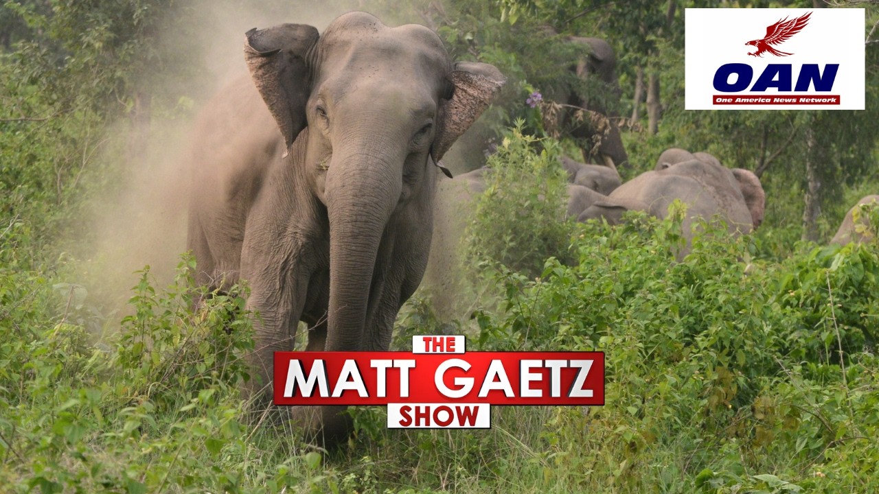 KILLER ELEPHANT 'STALKS' FAMILY IN NEPAL