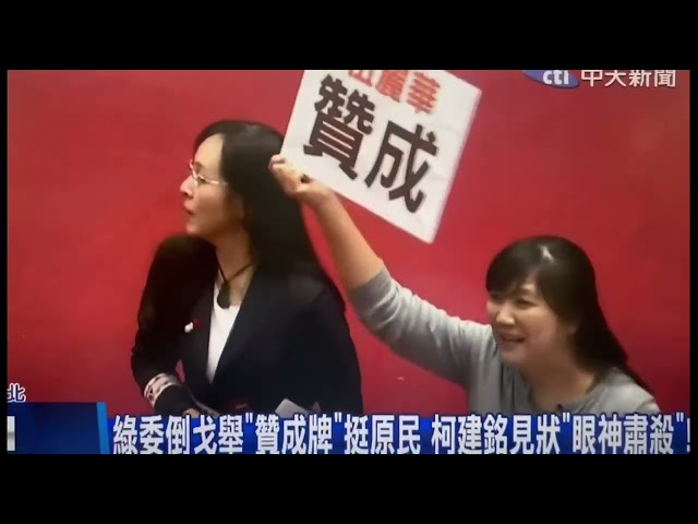 伍麗華指原住民是大陸統戰破口｜不依法編禁伐補償預算臉被打腫