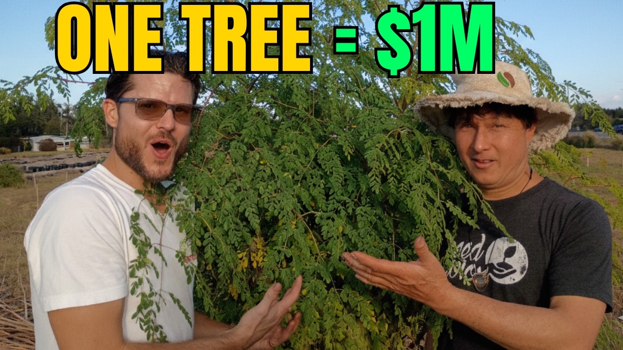 He Made $1,000,000 Growing This Cash Crop Without Owning Land