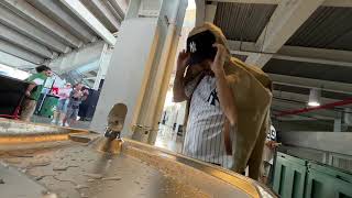 MLB LIVE New York Yankees vs Baltimore Orioles June 22 2025 Yankee Stadium Bronx,NY