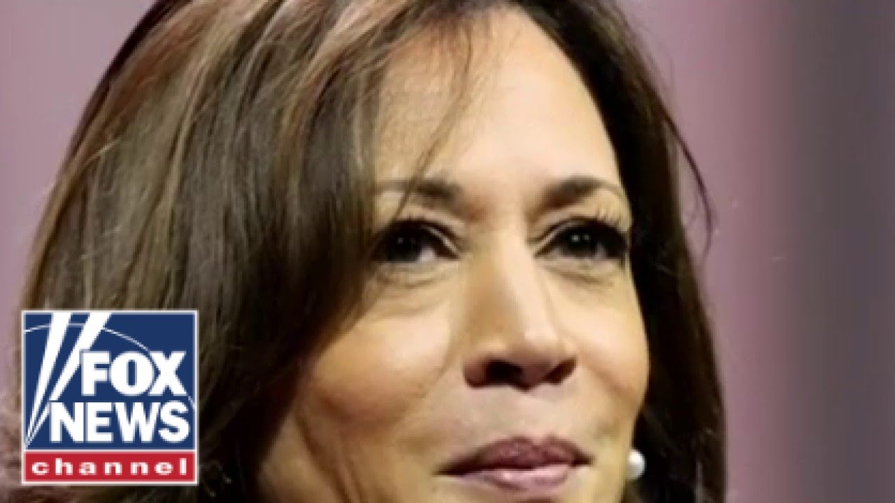 Kamala Harris would be the first one to bail these criminals out: Joe Gamaldi