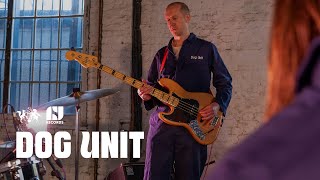 Dog Unit perform Consistent Effort live at The state51 Factory