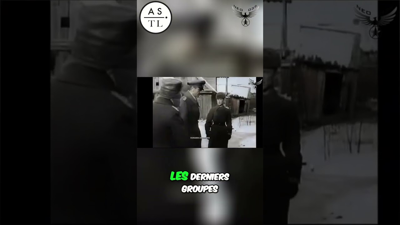 Stalingrad: Hitler dit non, l'hiver gagne la guerre! Ft Nota Bene #shorts