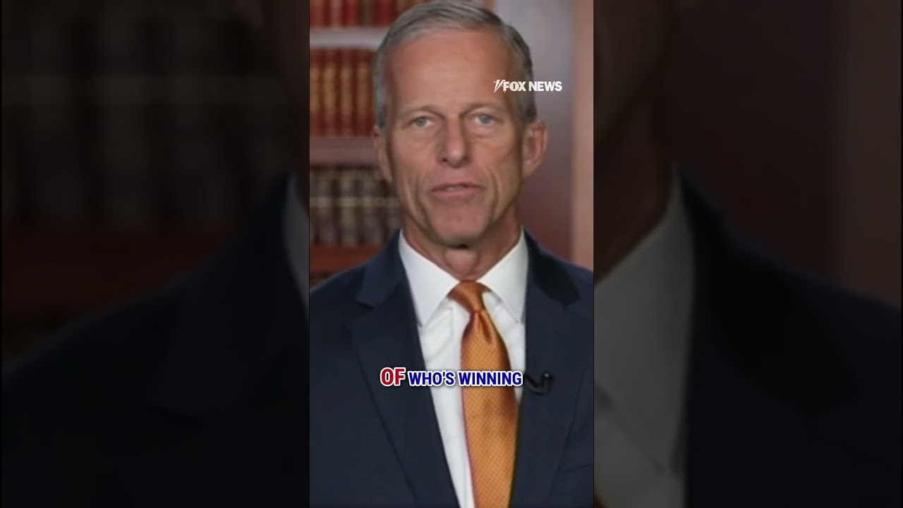 Sen. John Thune: 'In the real world, people are hurting' #government #shorts #politics #democrats