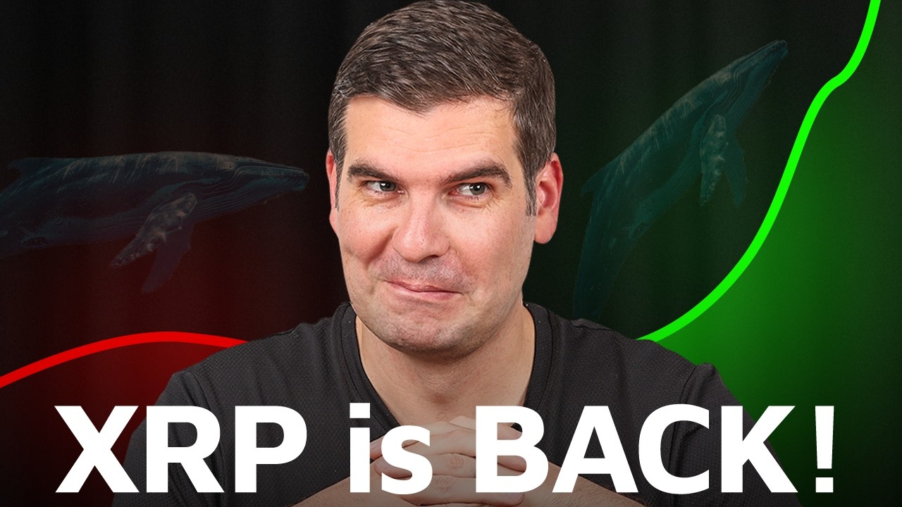 XRP Whales Are Back - Here's What I Learned