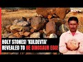 Rocks Worshipped As Kuldevtas In Madhya Pradesh Are Dinosaur Eggs