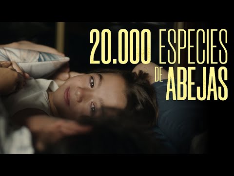 20.000 Especies de Abejas'