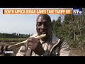 South African Sugar Farmers Struggle Amid Cheap Imports & Trump Tariffs | News9