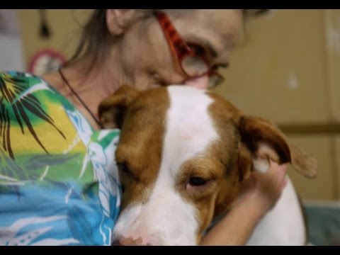 Donna Sarner's illness makes it difficult to care for her animals. Cornerstone Hospice and Pet Peace of Mind have stepped in to help. Donna Sarner's illness makes it difficult to care for her animals. Cornerstone Hospice and Pet Peace of Mind have stepped in to help.