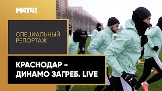 «"Краснодар" — "Динамо" Загреб. Live». Специальный репортаж