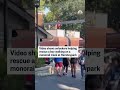 Boy rescued while walking monorail track at Hersheypark  - 00:32 min - News - Video