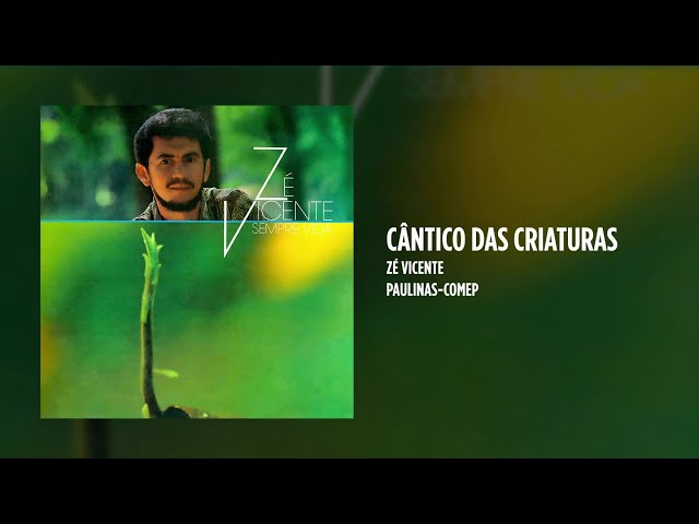 Preview do vídeo