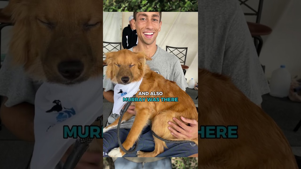 Reflecting on the moment that changed everything 🌟🏅 #pickleball #athlete #sports #explore #shorts