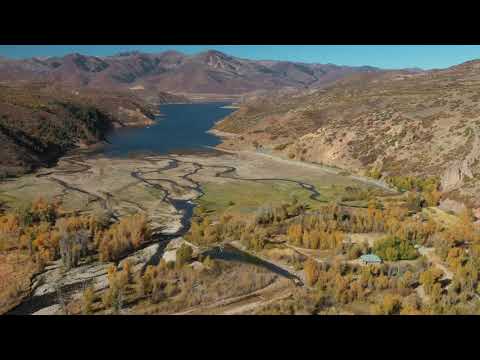 Race Video