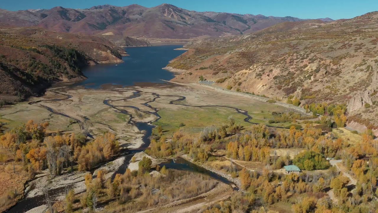 Race Video