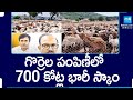 700 Crore Big Scam Busted in Sheep Distribution Scheme | BRS vs Congress |@SakshiTV