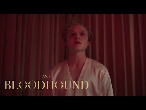 The Bloodhound'