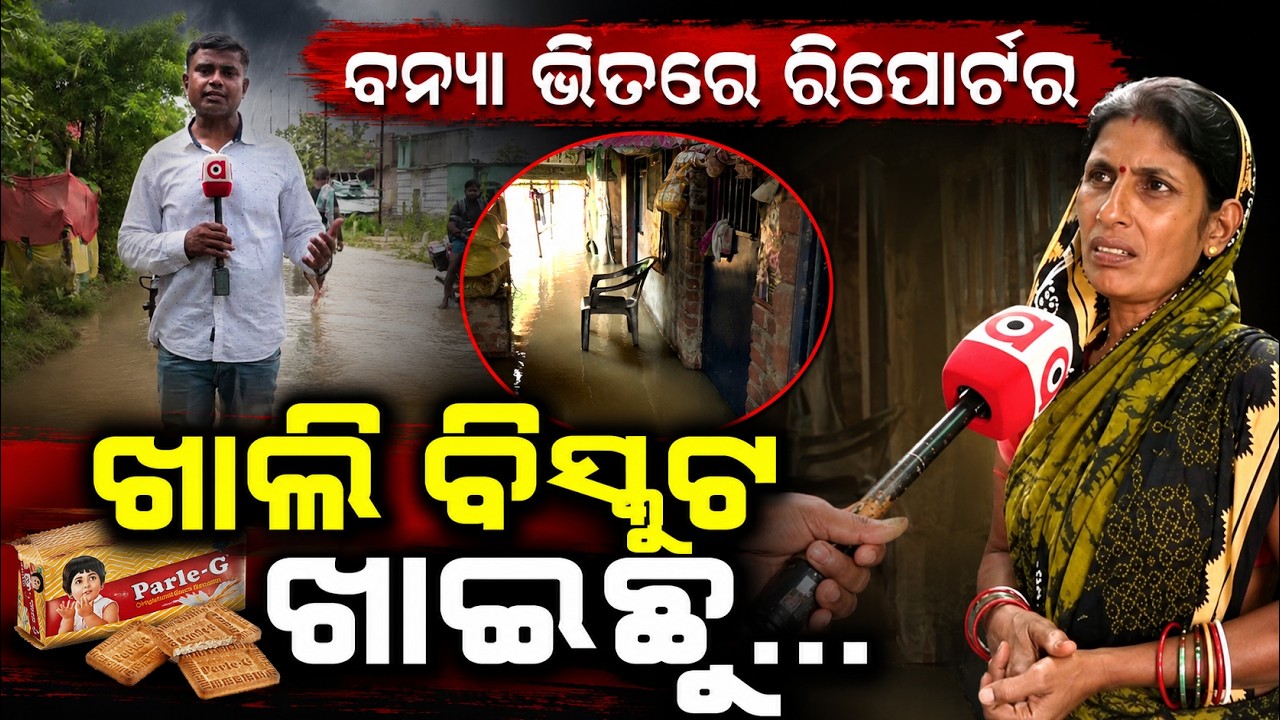 ଖାଲି ବିସ୍କୁଟ ଖାଇଛୁ... | Odisha Flood Crisis | Bhadrak Flood | Heavy Rain Odisha | Argus News