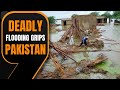 Severe Rainfall and Flooding Claim Dozens of Lives Across Pakistan