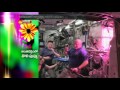 First ever flower grown in space -Exclusive