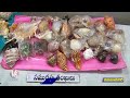 Rare Coins | Man Collected Rare Coins Including Items Found In Sea | Numismatist | Mahabubnagar | V6 - 04:13 min - News - Video