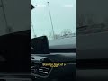 Runaway police horses galloping across highway  - 00:36 min - News - Video