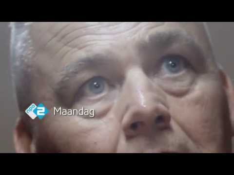 Het Babyluik'