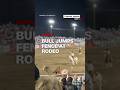 Bull jumps fence at rodeo