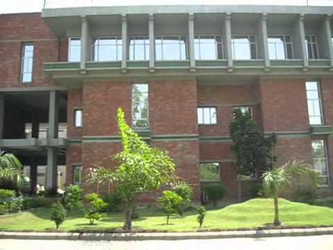 Vidya College of Engineering Others(1)