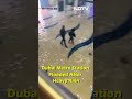 Dubai Rain News Today | Dubai Metro Station Flooded After Heavy Rain, Shows Video  - 00:37 min - News - Video